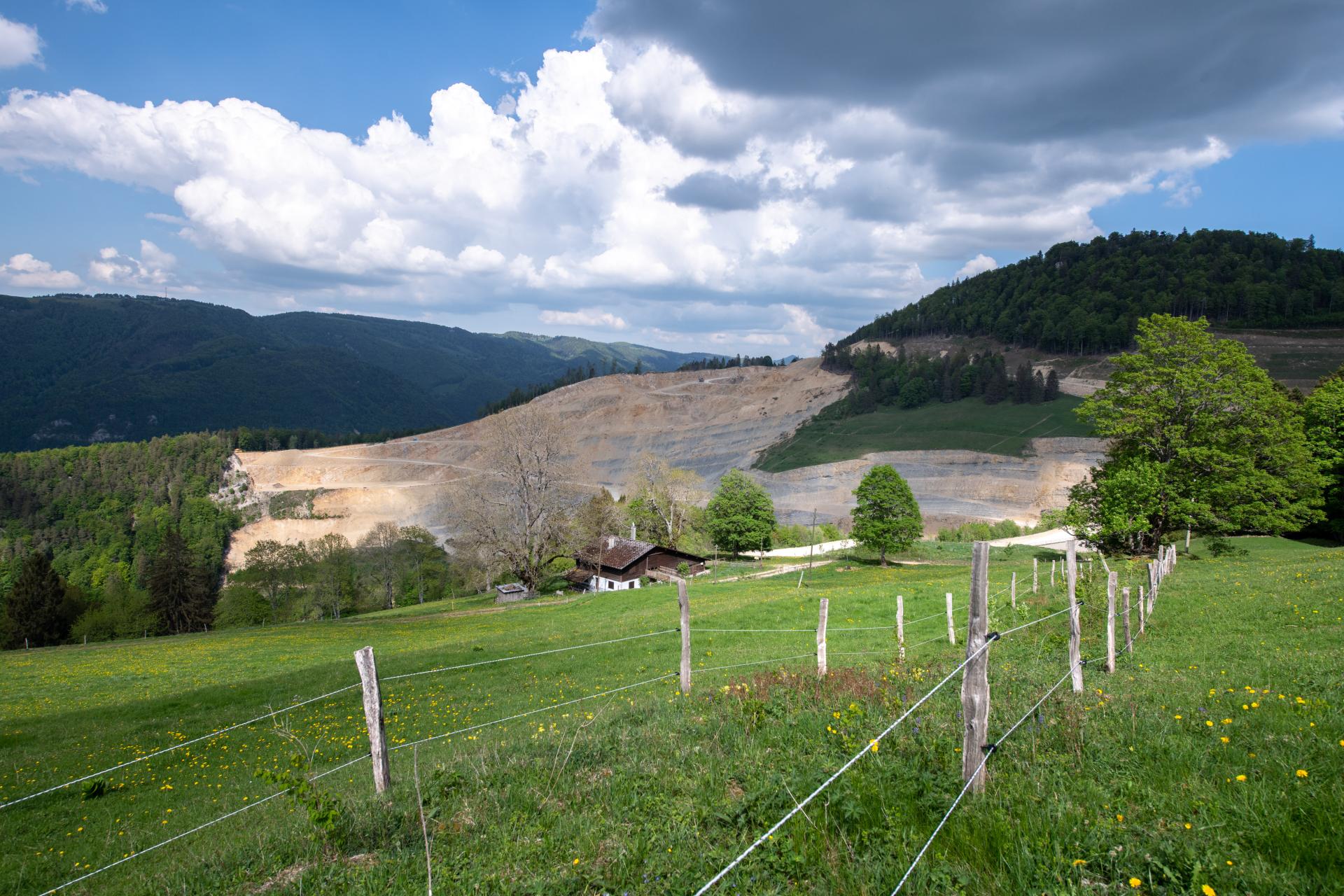 Eine grüne Wiese vor einem Steinbruch im Berner Jura